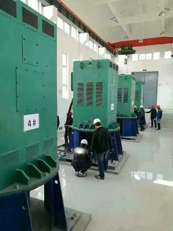 兴隆华侨农场某污水处理厂使用我厂的立式高压电机安装现场