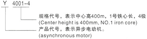 西安泰富西玛Y系列(H355-1000)高压兴隆华侨农场三相异步电机型号说明